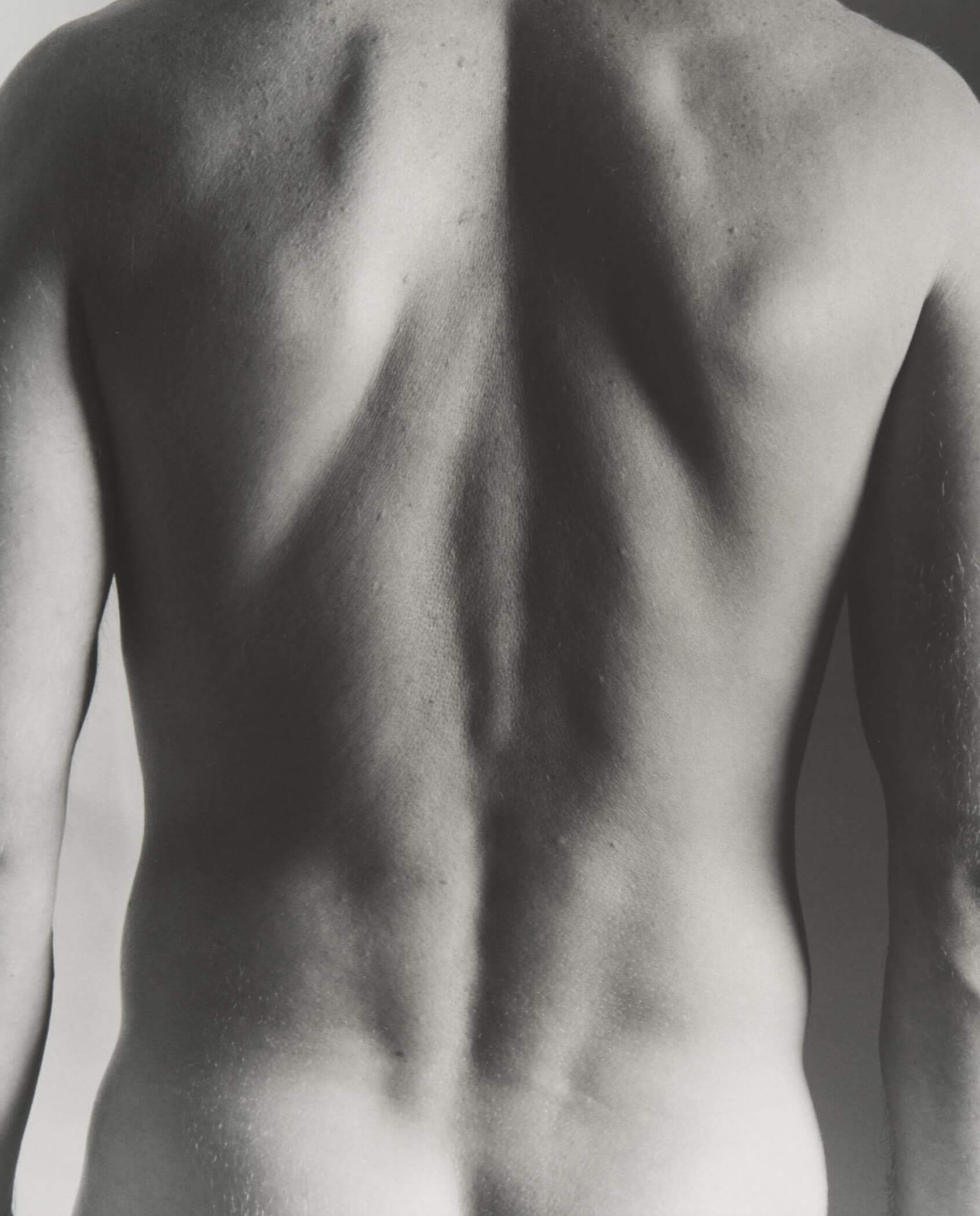 Close-up of human back